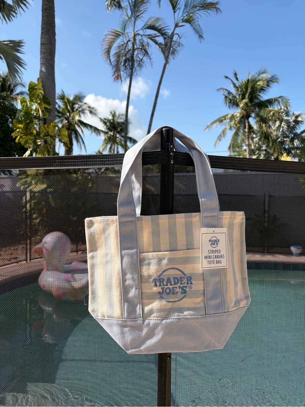 NWT Trader Joe's Striped Mini Canvas Tote Bag - Blue & Cream